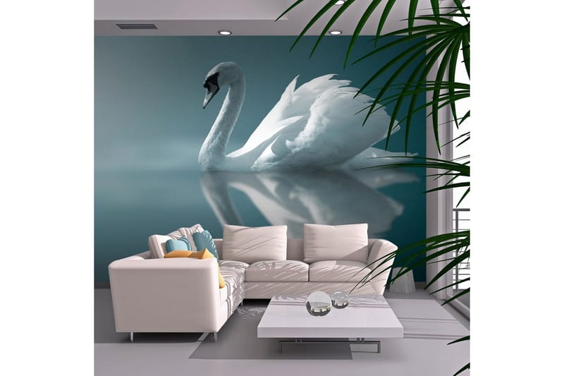 Fototapet Vit Svan 250x193, Artgeist sp. z o. o.