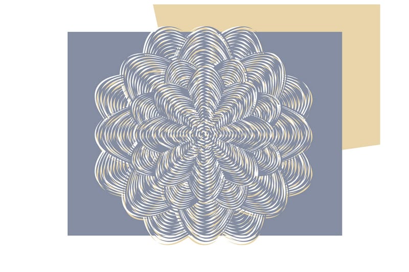 FOTOTAPET Vit Prydnad 250x193, Artgeist sp. z o. o.