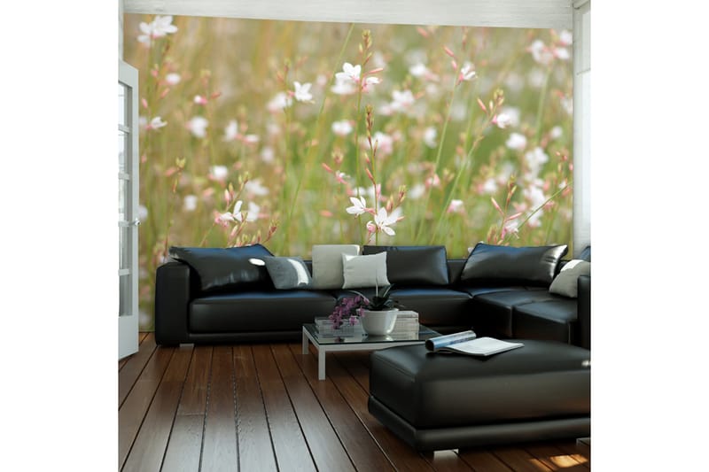 FOTOTAPET Vita Känsliga Blommor 250x193 - Artgeist sp. z o. o. - Inredning & dekor - Väggdekor - Tapeter & tapettillbehör - Fototapeter