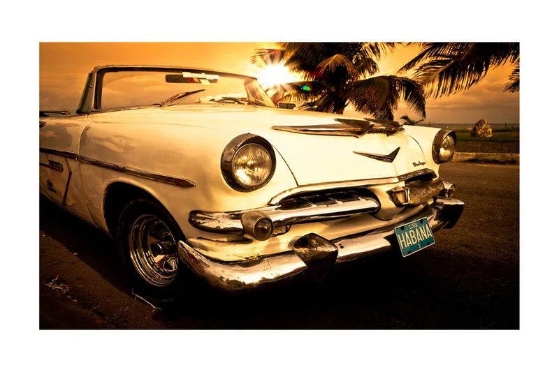 Fototapet Viva! 450x270 - Artgeist sp. z o. o. - Inredning & dekor - Väggdekor - Tapeter & tapettillbehör - Fototapeter