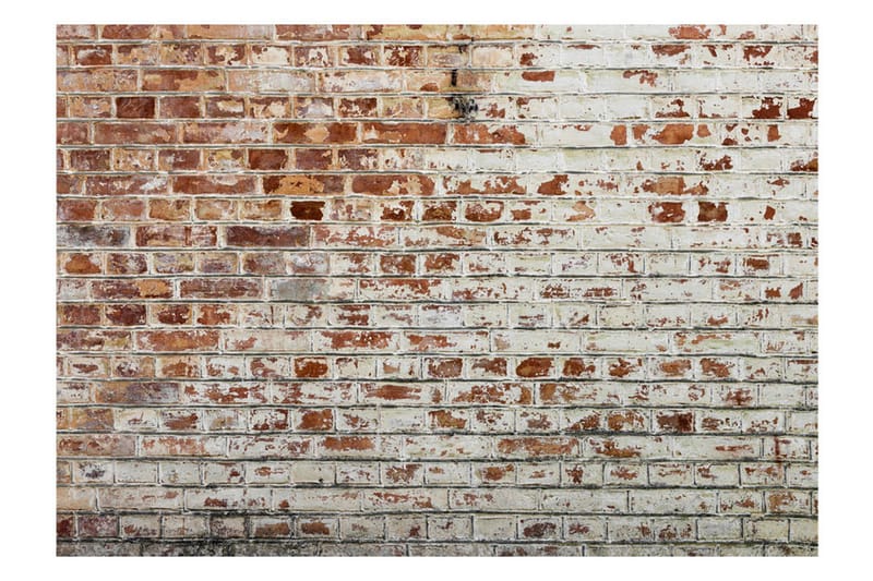 Fototapet Walls Of Memory 400x280 - Artgeist sp. z o. o. - Inredning & dekor - Väggdekor - Tapeter & tapettillbehör - Fototapeter