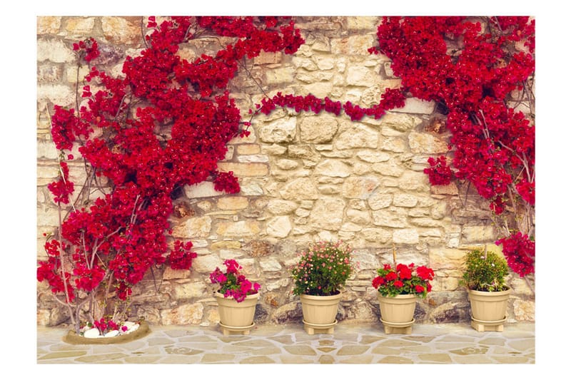 Fototapet Warm Afternoon 350x245 - Artgeist sp. z o. o. - Inredning & dekor - Väggdekor - Tapeter & tapettillbehör - Fototapeter