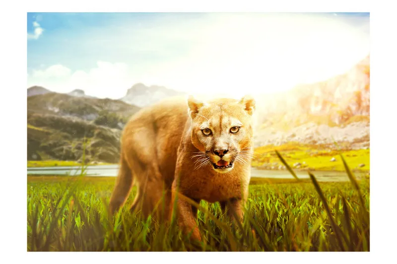 Fototapet Watch Out! 100x70 - Artgeist sp. z o. o. - Inredning & dekor - Väggdekor - Tapeter & tapettillbehör - Fototapeter