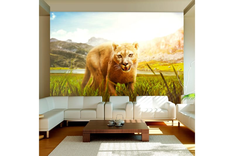 FOTOTAPET Watch Out! 400x280 - Artgeist sp. z o. o. - Inredning & dekor - Väggdekor - Tapeter & tapettillbehör - Fototapeter