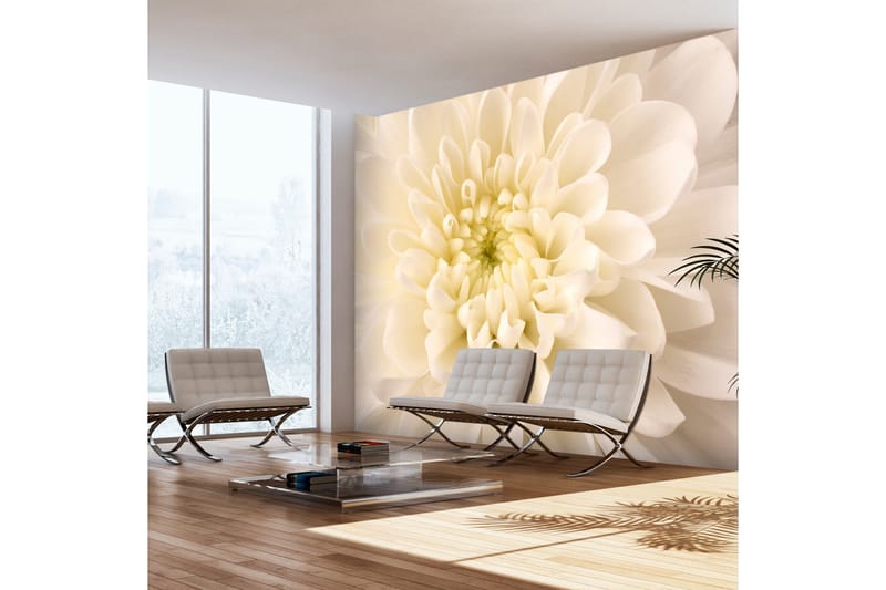 FOTOTAPET White Dahlia 200x154, Artgeist sp. z o. o.