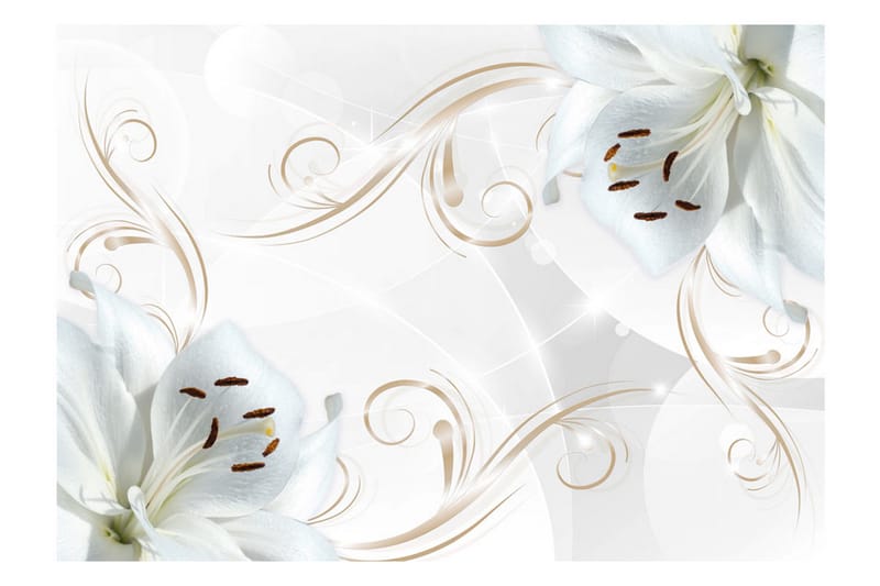 FOTOTAPET White Dancers 300x210 - Artgeist sp. z o. o. - Inredning & dekor - Väggdekor - Tapeter & tapettillbehör - Fototapeter