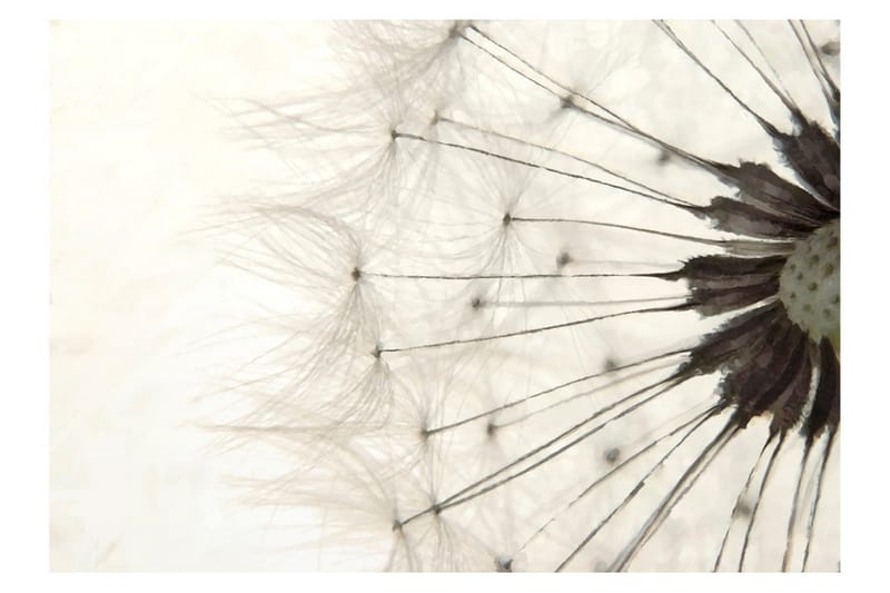 Fototapet White Dandelion 300x210 - Artgeist sp. z o. o. - Inredning & dekor - Väggdekor - Tapeter & tapettillbehör - Fototapeter