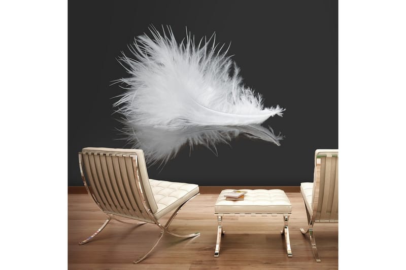 Fototapet White Feather 250x193, Artgeist sp. z o. o.