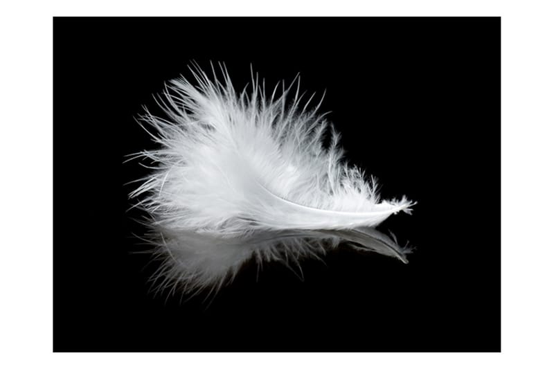 FOTOTAPET White Feather 350x270 - Artgeist sp. z o. o. - Inredning & dekor - Väggdekor - Tapeter & tapettillbehör - Fototapeter