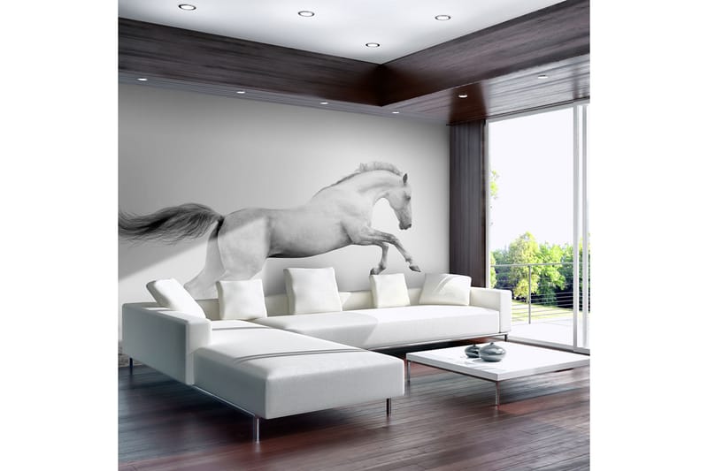 FOTOTAPET White Gallop 250x193 - Artgeist sp. z o. o. - Inredning & dekor - Väggdekor - Tapeter & tapettillbehör - Fototapeter