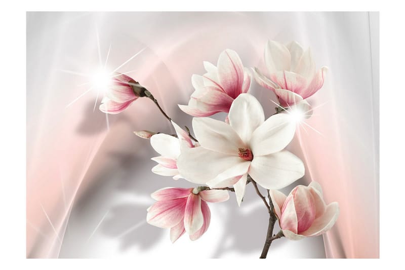 Fototapet White Magnolias 200x140 - Artgeist sp. z o. o. - Inredning & dekor - Väggdekor - Tapeter & tapettillbehör - Fototapeter