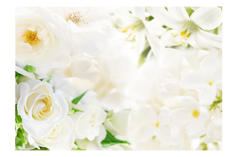 FOTOTAPET White Sigh 100x70 - Artgeist sp. z o. o. - Inredning & dekor - Väggdekor - Tapeter & tapettillbehör - Fototapeter