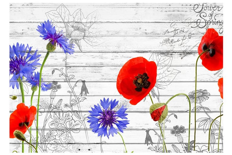 Fototapet Wildflowers 200x140 - Artgeist sp. z o. o. - Inredning & dekor - Väggdekor - Tapeter & tapettillbehör - Fototapeter