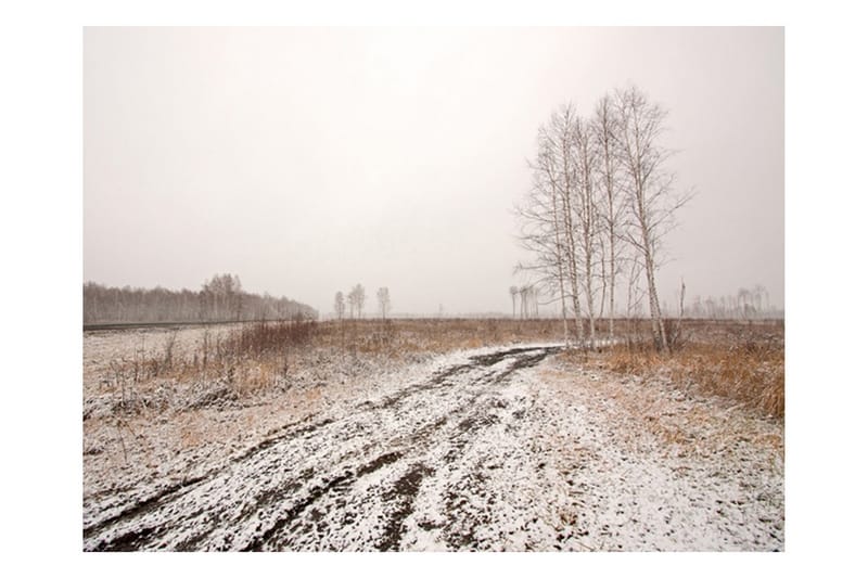 FOTOTAPET Winter Field 300x231 - Artgeist sp. z o. o. - Fototapeter