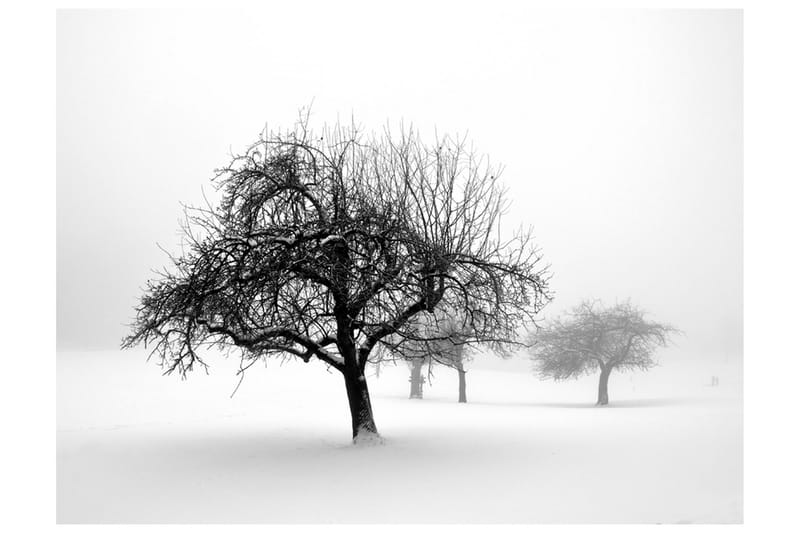 Fototapet Winter Trees 250x193, Artgeist sp. z o. o.