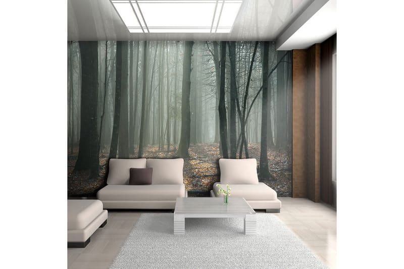 Fototapet Witches' Forest 250x193 - Artgeist sp. z o. o. - Inredning & dekor - Väggdekor - Tapeter & tapettillbehör - Fototapeter