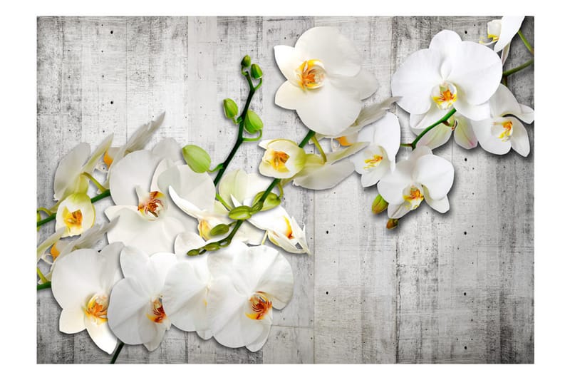 FOTOTAPET With Saffron Accent 400x280 - Artgeist sp. z o. o. - Inredning & dekor - Väggdekor - Tapeter & tapettillbehör - Fototapeter