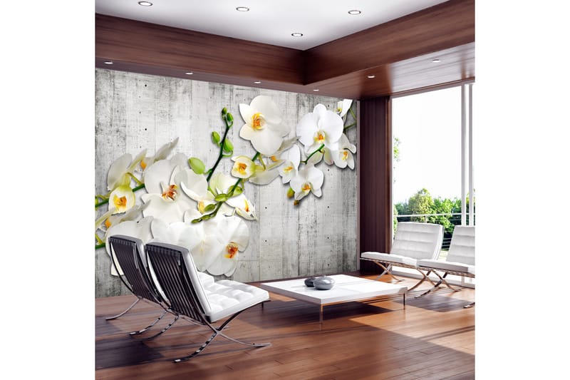 FOTOTAPET With Saffron Accent 400x280, Artgeist sp. z o. o.