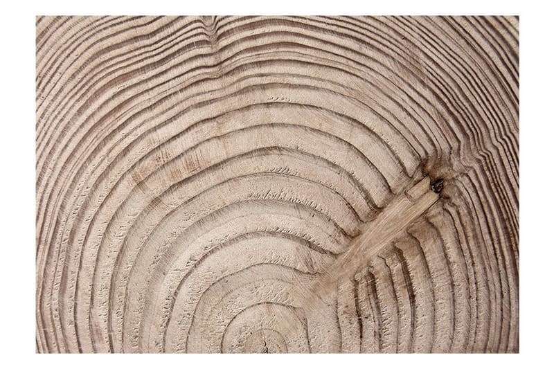 FOTOTAPET Wood Grain 400x280 - Artgeist sp. z o. o. - Inredning & dekor - Väggdekor - Tapeter & tapettillbehör - Fototapeter