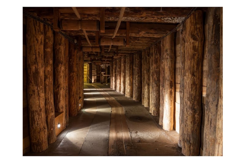 FOTOTAPET Wooden Passage 300x231 - Artgeist sp. z o. o. - Inredning & dekor - Väggdekor - Tapeter & tapettillbehör - Fototapeter