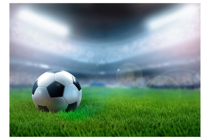 Fototapet World Championship 200x140 - Artgeist sp. z o. o. - Inredning & dekor - Väggdekor - Tapeter & tapettillbehör - Fototapeter