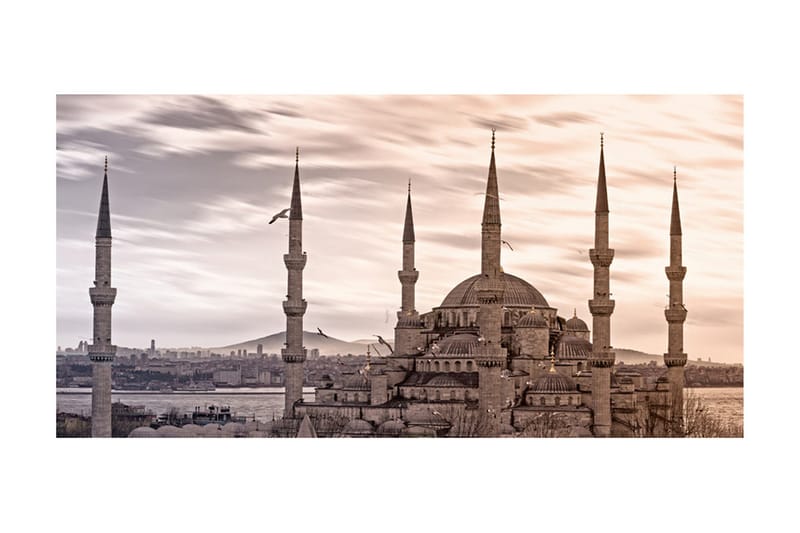Fototapet XXL Blå Moskén Istanbul 550x270 - Artgeist sp. z o. o. - Inredning & dekor - Väggdekor - Tapeter & tapettillbehör - Fototapeter
