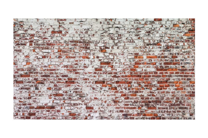 Fototapet XXL Echo Of Time 500x280 - Artgeist sp. z o. o. - Inredning & dekor - Väggdekor - Tapeter & tapettillbehör - Fototapeter