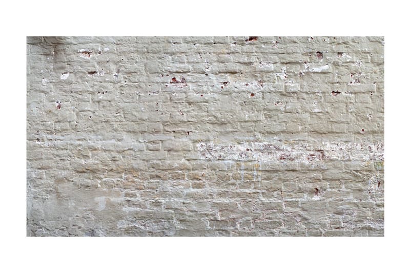 Fototapet XXL Hidden Harmony II 500x280 - Artgeist sp. z o. o. - Inredning & dekor - Väggdekor - Tapeter & tapettillbehör - Fototapeter