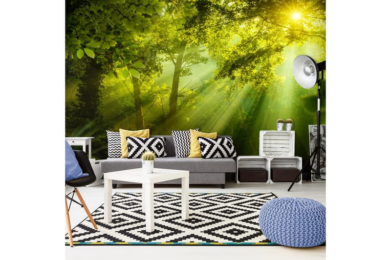 Fototapet XXL In A Secret Forest II 500x280, Artgeist sp. z o. o.