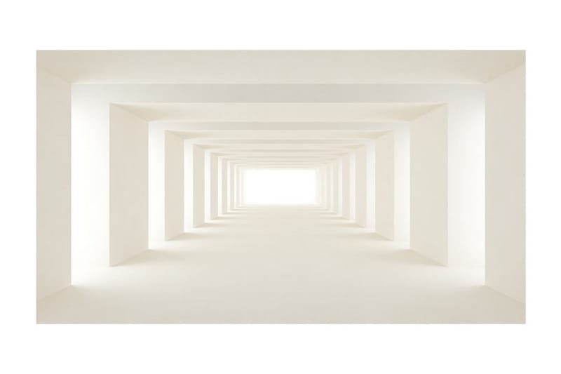 Fototapet XXL Into The Light II 500x280 - Artgeist sp. z o. o. - Inredning & dekor - Väggdekor - Tapeter & tapettillbehör - Fototapeter