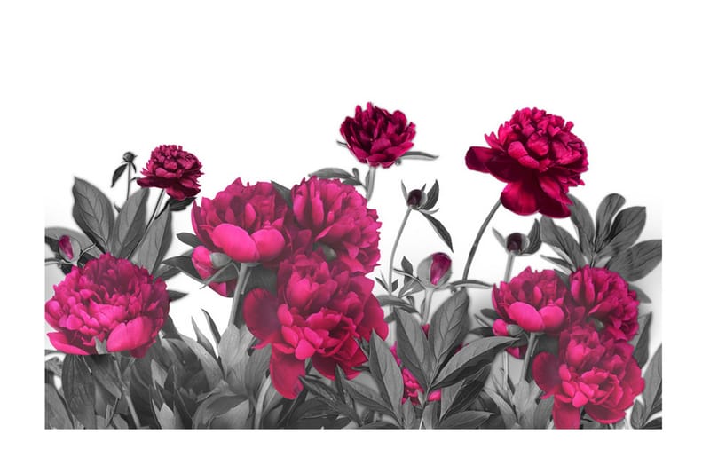 Fototapet XXL Lush Meadow 500x280 - Artgeist sp. z o. o. - Inredning & dekor - Väggdekor - Tapeter & tapettillbehör - Fototapeter