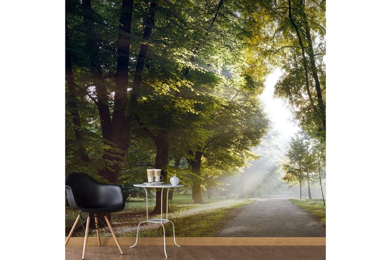 Fototapet XXL Morning Walk II 500x280, Artgeist sp. z o. o.