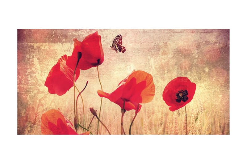 Fototapet XXL Summer Is Coming 550x270 - Artgeist sp. z o. o. - Inredning & dekor - Väggdekor - Tapeter & tapettillbehör - Fototapeter