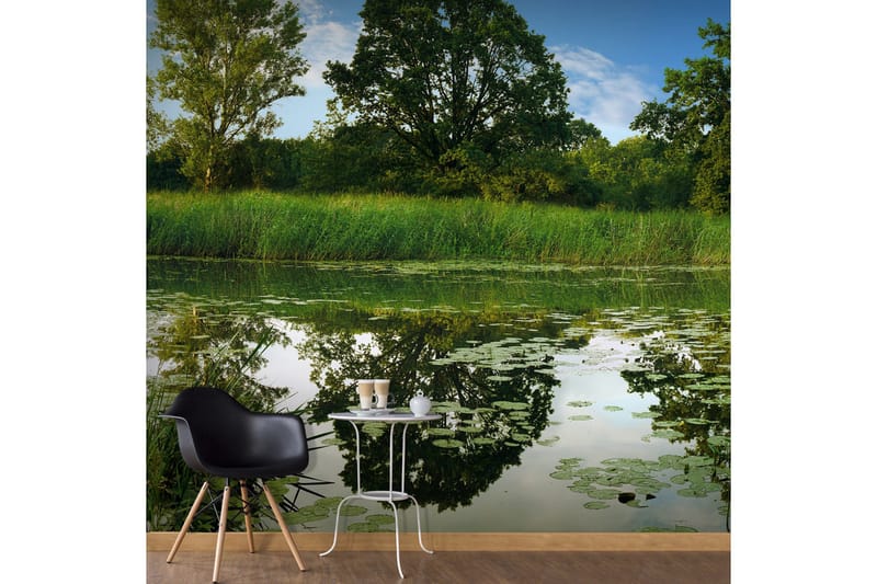 Fototapet XXL The Magic Pond II 600x280, Artgeist sp. z o. o.