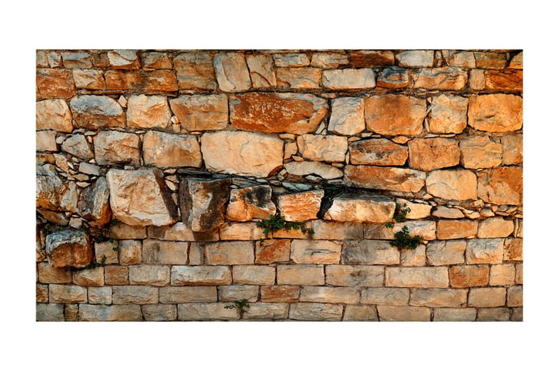 Fototapet XXL Prelude Of The Day II 600x280 - Artgeist sp. z o. o. - Inredning & dekor - Väggdekor - Tapeter & tapettillbehör - Fototapeter