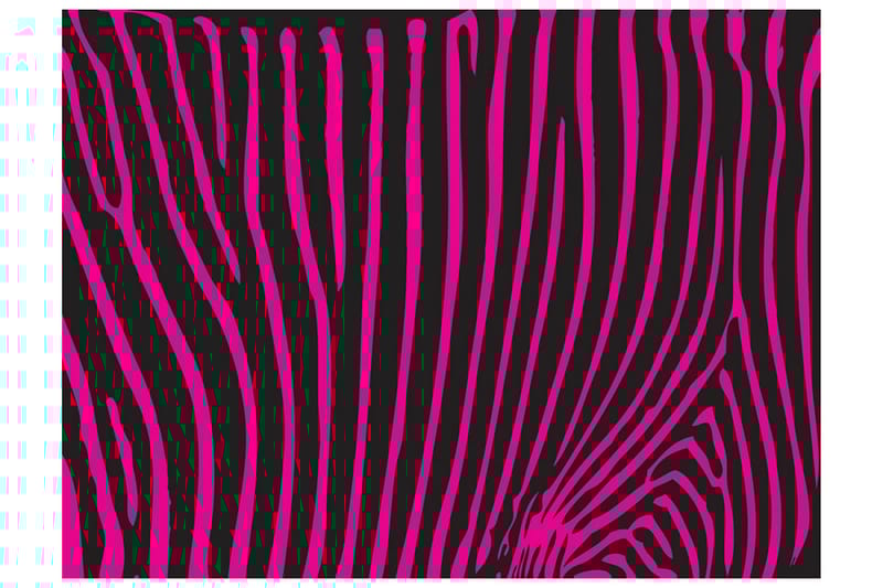 FOTOTAPET Zebra Mönster Violett 200x154 - Artgeist sp. z o. o. - Inredning & dekor - Väggdekor - Tapeter & tapettillbehör - Fototapeter