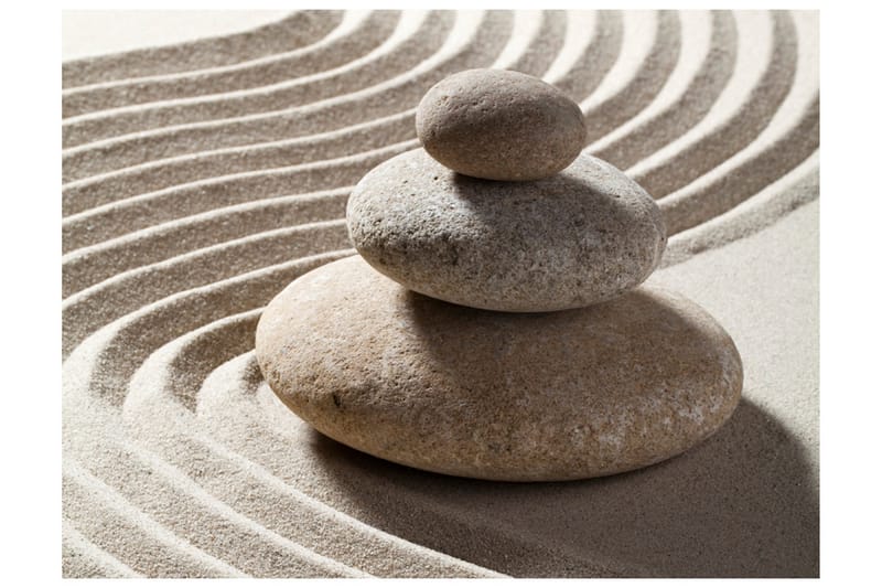 Fototapet Zen Trädgård 200x154, Artgeist sp. z o. o.