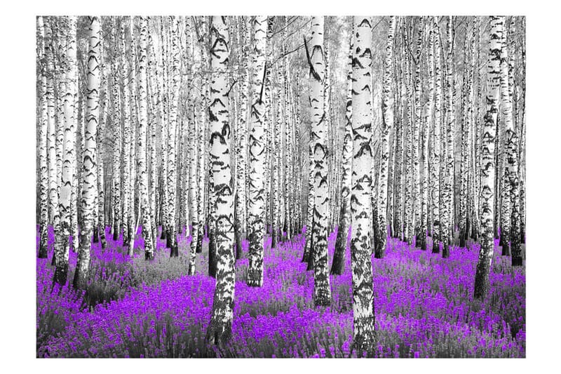 FOTOTAPET Purple Asylum 100x70 - Artgeist sp. z o. o. - Inredning & dekor - Väggdekor - Tapeter & tapettillbehör - Fototapeter