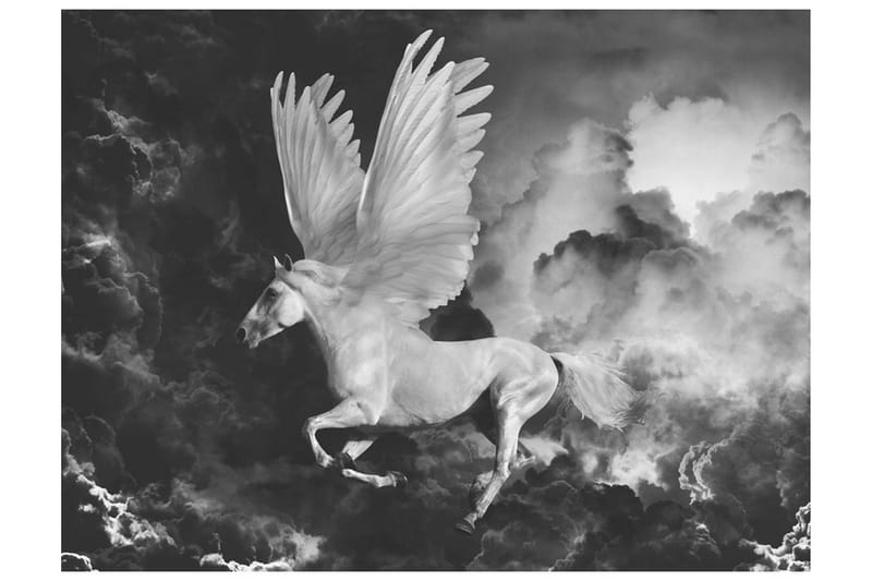 Fototapet Pegasus På Väg Till Mount Olympus 200x154 - Artgeist sp. z o. o. - Inredning & dekor - Väggdekor - Tapeter & tapettillbehör - Fototapeter