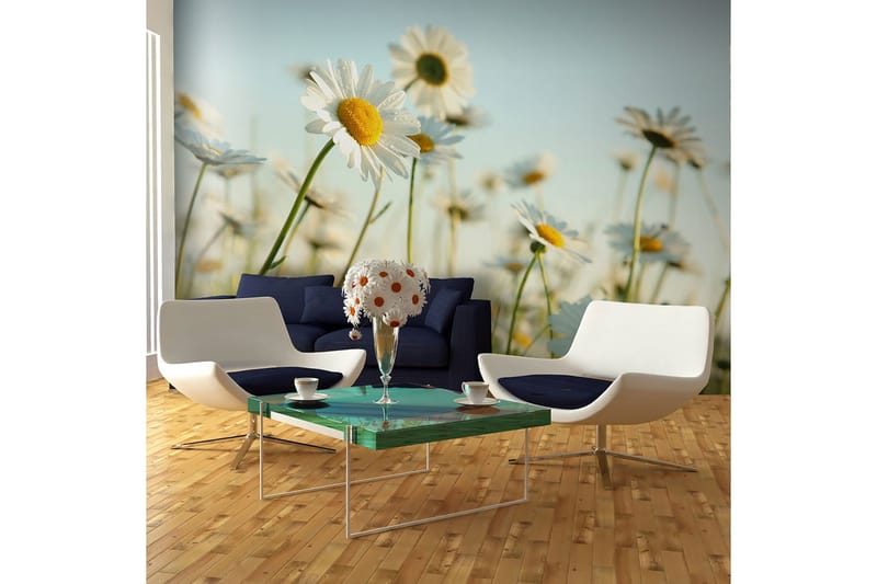 Fototapet Prästkragar Spring Äng 450x270, Artgeist sp. z o. o.