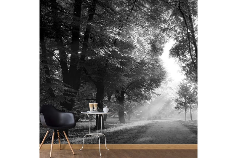 FOTOTAPET Path Of Memories 250x175, Artgeist sp. z o. o.