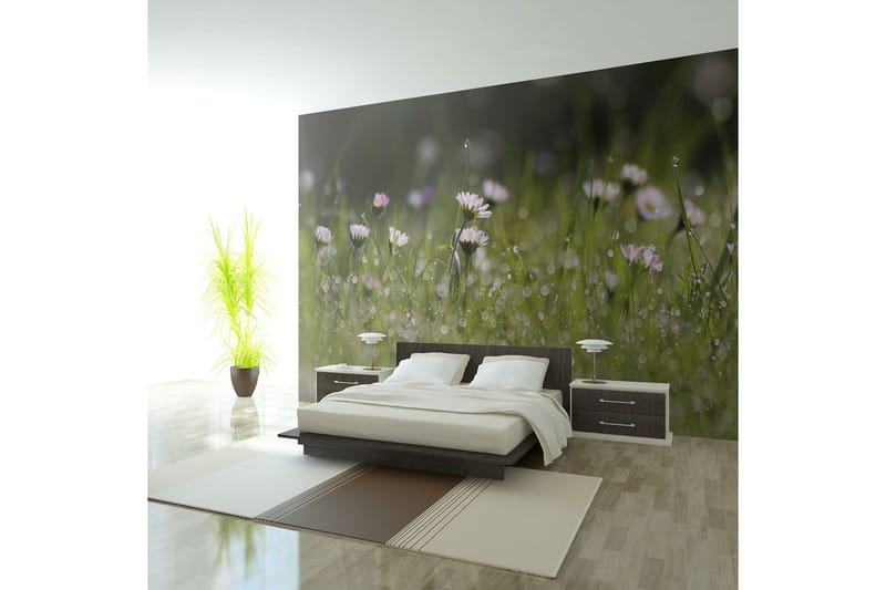 Fototapet Prästkragar Med Morgondagg 200x154, Artgeist sp. z o. o.