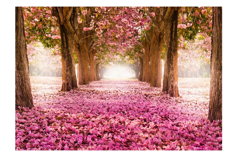 FOTOTAPET Pink Grove 200x140 - Artgeist sp. z o. o. - Inredning & dekor - Väggdekor - Tapeter & tapettillbehör - Fototapeter