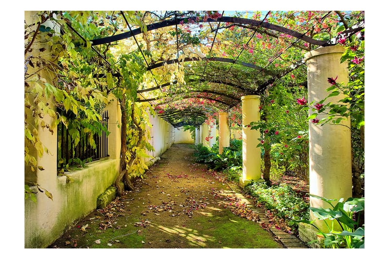 FOTOTAPET Pergola 250x175 - Artgeist sp. z o. o. - Inredning & dekor - Väggdekor - Tapeter & tapettillbehör - Fototapeter