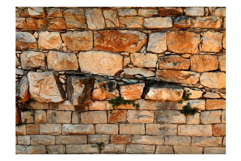 Fototapet Prelude Of The Day 250x175 - Artgeist sp. z o. o. - Inredning & dekor - Väggdekor - Tapeter & tapettillbehör - Fototapeter