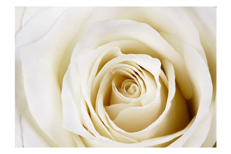 FOTOTAPET Pearl Maze 200x140 - Artgeist sp. z o. o. - Inredning & dekor - Väggdekor - Tapeter & tapettillbehör - Fototapeter