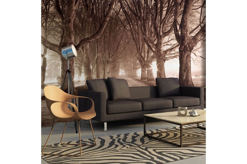 Fototapet Park Gränd 300x231 - Artgeist sp. z o. o. - Inredning & dekor - Väggdekor - Tapeter & tapettillbehör - Fototapeter