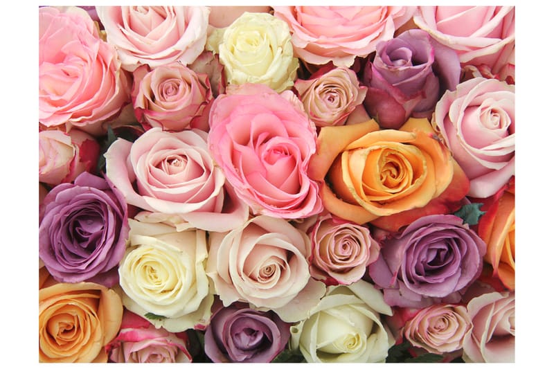FOTOTAPET Pastel Roses 250x193 - Artgeist sp. z o. o. - Inredning & dekor - Väggdekor - Tapeter & tapettillbehör - Fototapeter