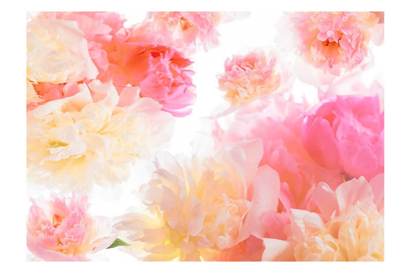 FOTOTAPET Pastel Peonies 150x105 - Artgeist sp. z o. o. - Inredning & dekor - Väggdekor - Tapeter & tapettillbehör - Fototapeter