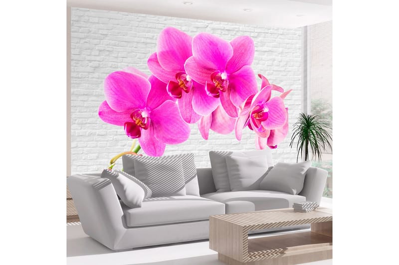 FOTOTAPET Pink Excitation 200x140, Artgeist sp. z o. o.